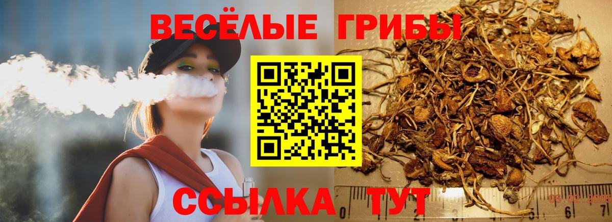 Котовск  Галлюциногенные грибы Psilocybe  Вход с VPN 