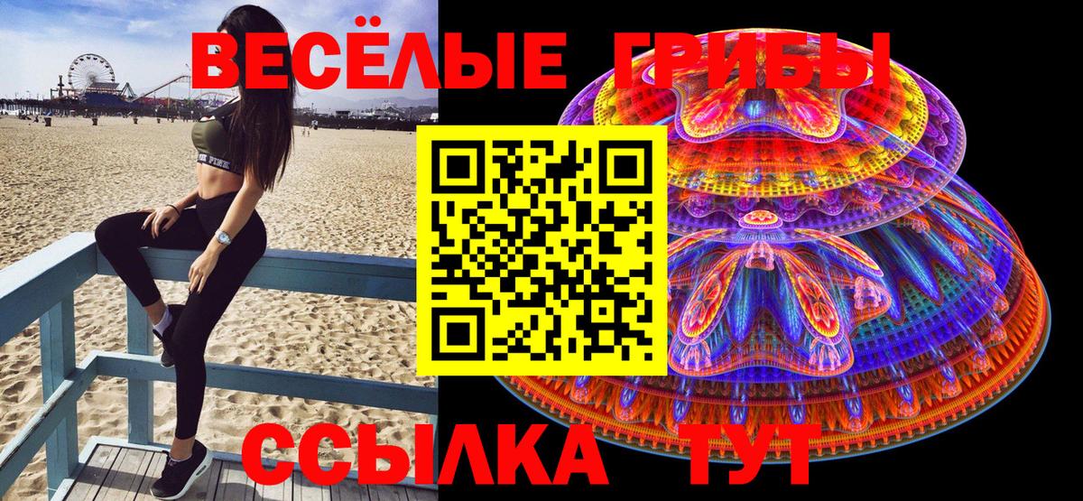 Псилоцибиновые грибы Psilocybine cubensis Котовск
