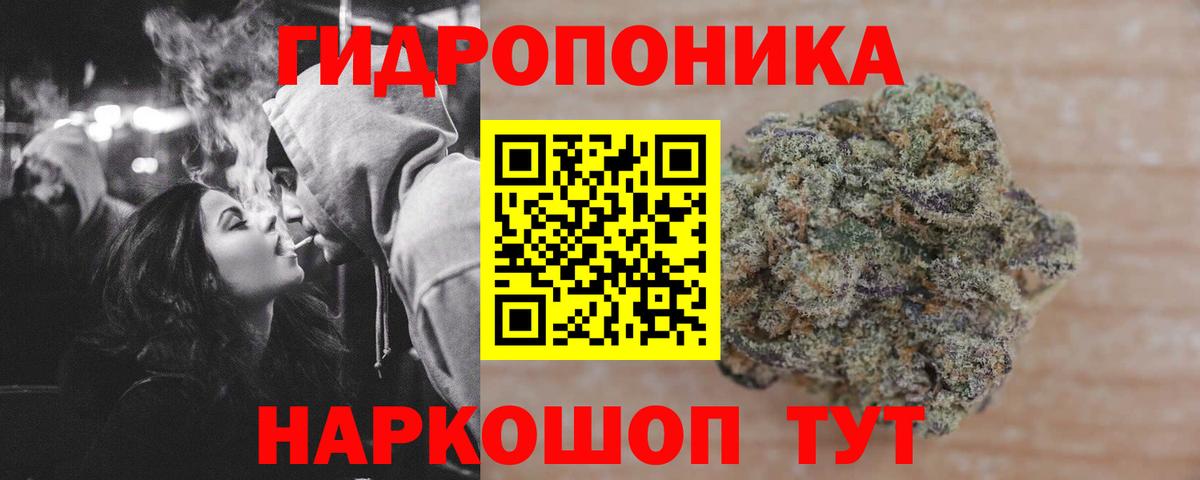МАРИХУАНА семена  Вход с VPN  Котовск  Бошки Шишки OG Kush  Шишки марихуана сатива 